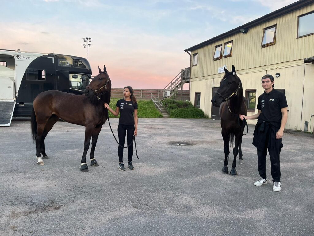 Två till final i Stochampionatet