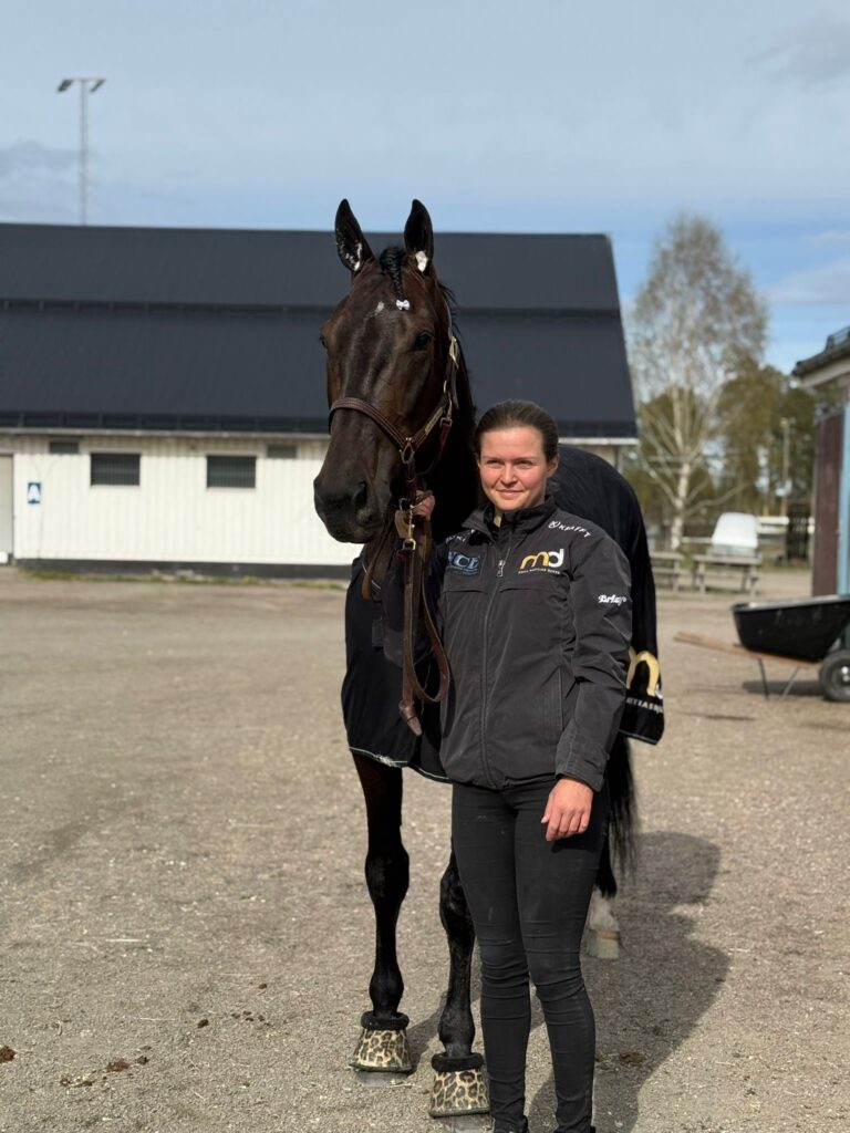 En seger med hem från Bollnäs lunchtrav