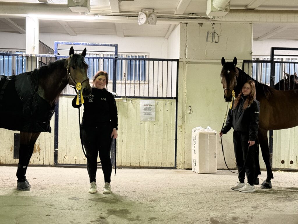 Fin kväll på Solvalla