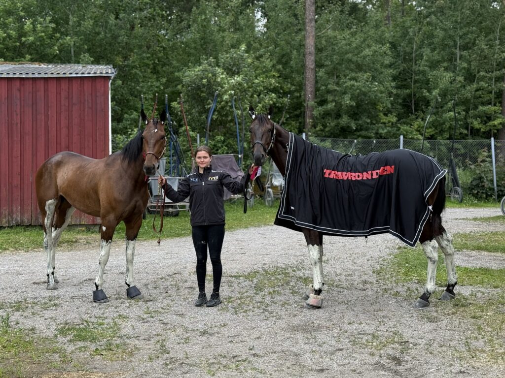 Bra helg på Sundbyholmstravet