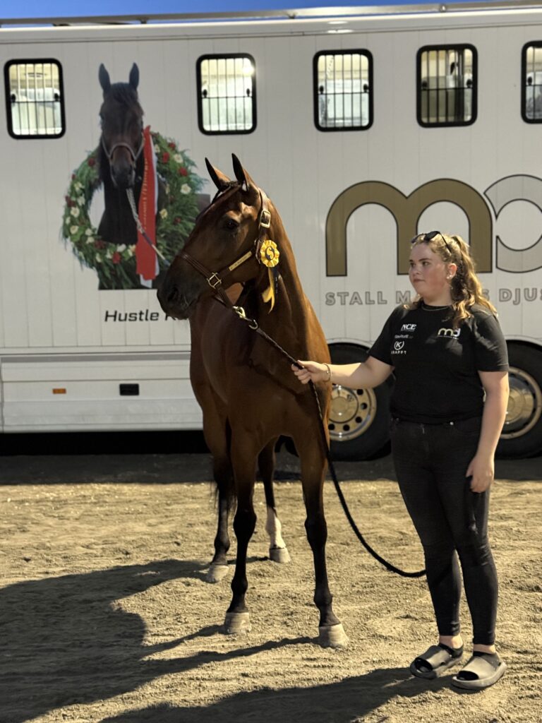 Solvalla seger