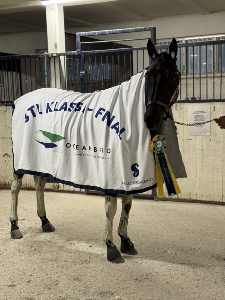 Härlig kväll på Solvalla